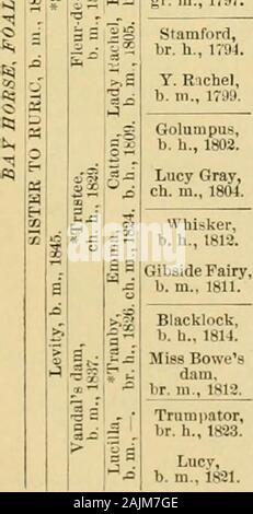 Il cavallo purosangue : la sua origine, come razza e come [a] selezionare lui : con gli allevatori di cavalli' guide : abbracciando un centinaio di tabulati delle genealogie dei principali riproduttori ... . ,R, iTnimpntDau. 1789 nf KniiL-aiiiDau. 17;9 di llrn.I V, I (TK-lipseI tar 17431. HA = 5 S ^ - *c ? 05 Un w: x&GT; S M ii k) -i .? -^P.^^ Bening- brough, b. ii.. 1791. KingFortMis 1775 (Eclipse 1761i-Dau. 1780 di Herori 17.-8 (Tartaro 174,3)-Pyrrha 1771da .Matchem 1748 (Cadei 1734)-Dutchess 1748 da Whitenose 1742 (Dio. Ar, 1724)-Miss Slamerkin 1729 bv Y. True Blue 1718 Honevwoods (Ar). Highflver 1774 (Erode 1758)-Termag Foto Stock