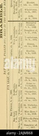 Il cavallo purosangue : la sua origine, come razza e come [a] selezionare lui : con gli allevatori di cavalli' guide : abbracciando un centinaio di tabulati delle genealogie dei principali riproduttori ... . Da Trentliam 1766 (T. Sweepstakes 1743)-co(iuette 1765 da Compton Barb-Si stl743toJ{egaliisJ)yJ3o&lt;h^Ar^^ Mosè,b. h., 1S19. Sir Peter T. 1784 (Highflyer 1774iArethusa 1792 da Dnngaiinon 178i) (Eclipse 1764)- Dau. 1777 del profeta 1760 (Kegulus 1739)-Virago 1764 da Snap 1750 (Snip 1736)-Dan. Di Regulus 17-39 (Dio. .R. 1734).Pot-8-o-s 1773 (EcUpse 17611-Prunella 1788 bv Highflyer 1774 (Erode 1758)-promessa 1768 da S Foto Stock