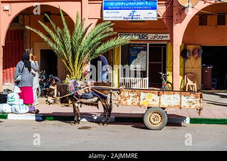 Ouarzazate, Marocco - 12 Novembre 2019: asino con un carrello su una strada di città Foto Stock