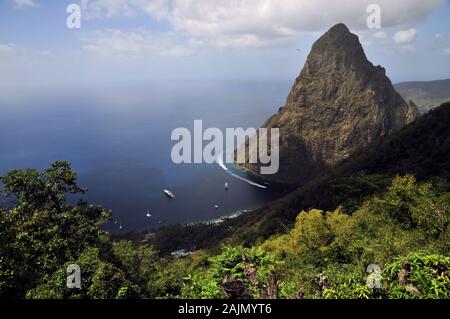 I Pitoni di Santa Lucia nei Caraibi Foto Stock