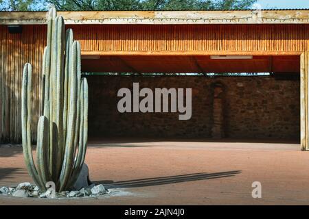 Un artista creazione di un cactus Cereus realizzati in metallo con dettagli incredibili e apparentemente reale, nel cortile degli artisti composto, in Tubac, AZ Foto Stock