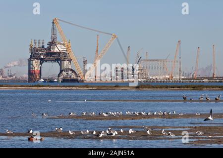 Costruzione del "Big Foot' deepwater oil & gas platform in via di completamento, bracci di oscillazione, all'alba, Ingleside Bay. Foto Stock