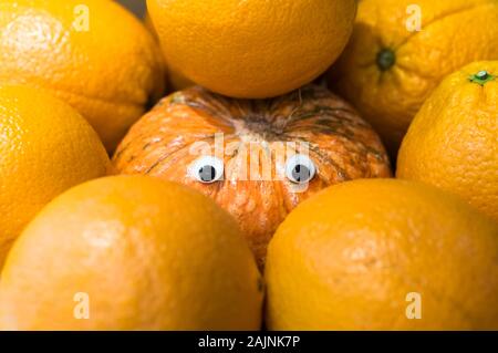 Concetto di zucca con gli occhi artificiali circondato da aranci, imitando per essere uno di loro. Foto Stock