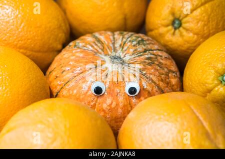 Concetto di zucca con gli occhi artificiali circondato da aranci, imitando per essere uno di loro. Foto Stock