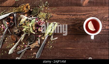 Assortimento di tè secco in cucchiai e tazza di tè su sfondo di legno. Vista da sopra con copia spazio. Foto Stock