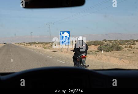 Motociclista e un segno di monito per i cammelli sulla strada per Chebika. Foto Stock