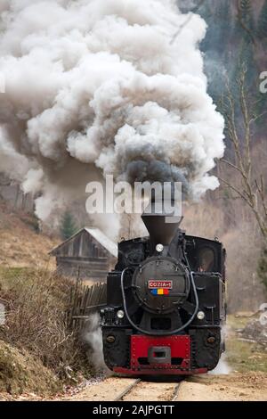 Mocanita, il treno a vapore del Maramures, Romania. Foto Stock