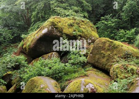 Le Chaos de Rochers o il caos di rocce - accozzaglia di centinaia di grandi massi nella foresta di Huelgoat, Bretagna Francia Foto Stock