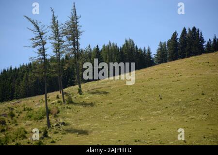 Visitare le montagne della Stiria Foto Stock