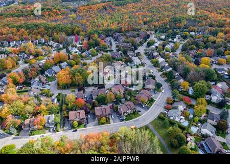 Vista aerea del quartiere residenziale che mostra alberi cambiando colore durante la stagione autunnale a Montreal, Quebec, Canada. Foto Stock