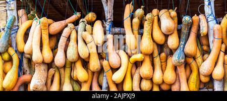 La zucca appesi a funi in Marocco Foto Stock
