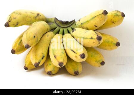 Pisang Awak Banana isolare lo sfondo bianco Foto Stock