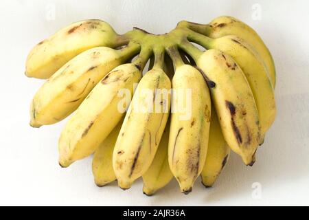 Pisang Awak Banana isolare lo sfondo bianco Foto Stock