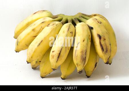 Pisang Awak Banana isolare lo sfondo bianco Foto Stock