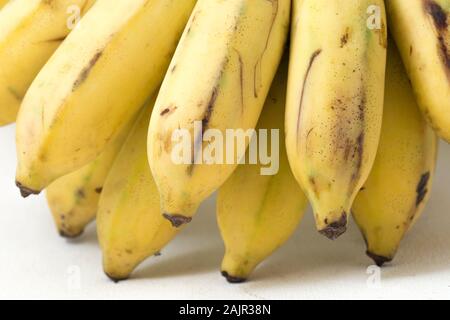 Pisang Awak Banana isolare lo sfondo bianco Foto Stock