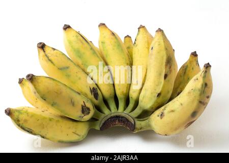 Pisang Awak Banana isolare lo sfondo bianco Foto Stock