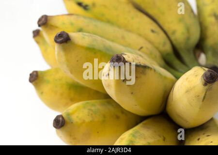 Pisang Awak Banana isolare lo sfondo bianco Foto Stock