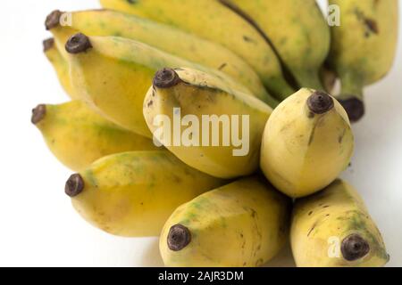 Pisang Awak Banana isolare lo sfondo bianco Foto Stock