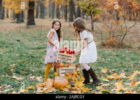 Due graziosi sorelle in lunghi vestiti bianchi tenere in mani cesto di frutta matura e verdura. Richsummer e raccolto autunnale . L'agricoltura. Soft focus Foto Stock