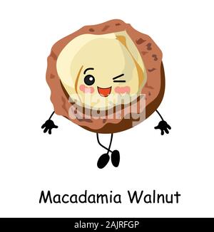 Carino noce macadamia cartoon. illustrazione isolati su sfondo bianco. Foto Stock