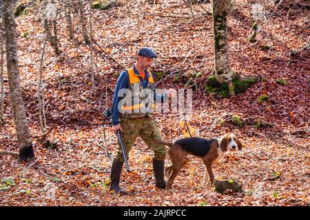 Cacciatore con arma e cane da caccia a caccia nella foresta Foto Stock