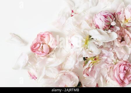 Close up di fading rose e peonie petali di fiori isolati su bianco sullo sfondo della tabella. Cornice floreale composizione. Decorative banner web. Elegante s Foto Stock