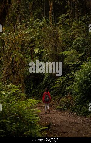 Monteverde,Puntarenas/Costa Rica-24 gennaio,2019:giovani traveler escursionismo a Monteverde Claude foresta con un pratico Kanken Fjallraven backpak. Lo svedese Foto Stock