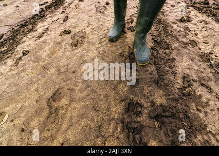 Sporco del contadino Stivali in gomma su terreni fangosi country road. Agronomo è a piedi il percorso attraverso campi coltivati dopo una forte tempesta di pioggia. Foto Stock