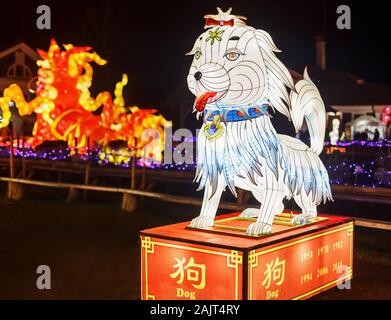 Cane gigante lanterna della Cina, simbolo dello zodiaco. Festival della luce in Pakruojis Manor, Lituania Foto Stock