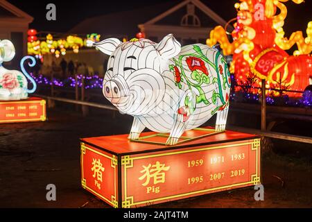 Maiale gigante lanterna della Cina, simbolo dello zodiaco. Festival della luce in Pakruojis Manor, Lituania Foto Stock