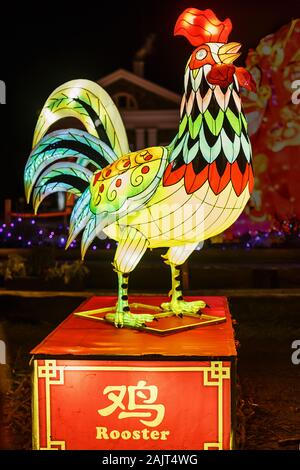 Gallo gigante lanterna della Cina, simbolo dello zodiaco. Festival della luce in Pakruojis Manor, Lituania Foto Stock