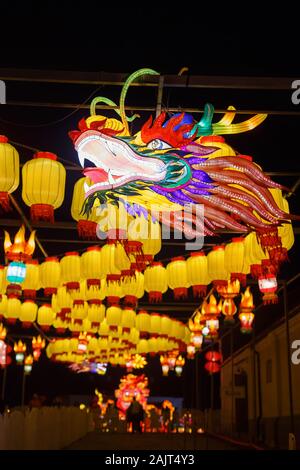 Drago gigante lanterna della Cina, simbolo dello zodiaco. Festival della luce in Pakruojis Manor, Lituania Foto Stock