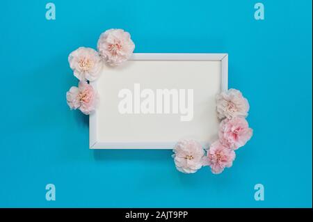 Lay piatto - bianco fotogrammi vuoti con i garofani rosa su sfondo blu. Spazio di copia, mock up. Concetto di primavera. Foto Stock