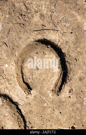Horse Trail sul terreno. Impronta di un ferro di cavallo a ferro di cavallo sulla terra. Il ferro di cavallo impronta a terra, Imprint e texture. Piede di cavallo in presenza di sporco gr Foto Stock