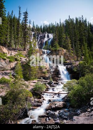 Groviglio Creek Falls durante l'estate nel Parco Nazionale di Jasper, Canadian Rockies, Alberta, Canada. Foto Stock