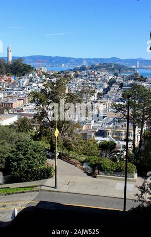 Coit Tower, Telegraph Hill, e North Beach da Russian Hill, San Francisco, California Foto Stock