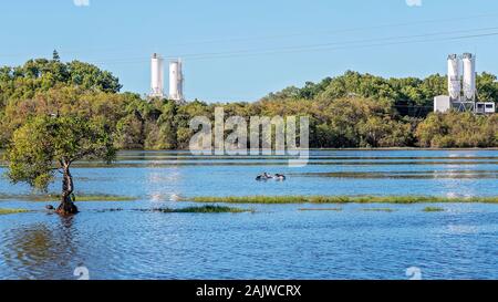 Un ecosistema di zone umide tipicamente invaso dall'acqua con abbondanti uccelli e pesci, con un cemento industriale lavora in background Foto Stock