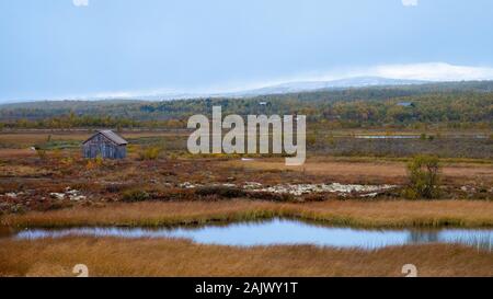 Paesaggio autunnale in Fjall, Rondane National Park, Norvegia Foto Stock