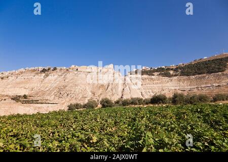 Kerak Castello, al Karak, sulla collina, Kings Highway, route 35, storica strada sulla terra alta, Giordania, Medio Oriente e Asia Foto Stock