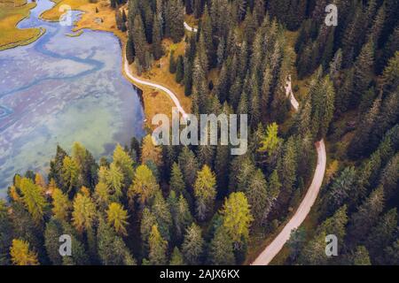 Scenic vista aerea di un avvolgimento percorso di trekking in una foresta. Percorso di trekking nella foresta da sopra, drone vista. Antenna vista superiore di un sentiero in middl Foto Stock