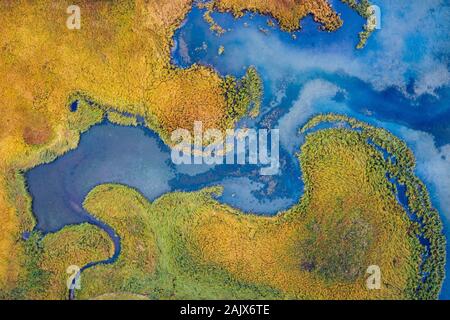 Antenna fuco vista fiume ventoso , attraversare ruscelli , e la vena come acqua modi svolta attraverso l'erba prato piano di verde e lussureggiante valle di montagna torrenti cross Foto Stock