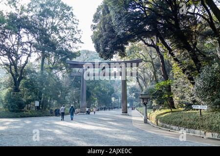 TOKYO, Giappone - 7 febbraio 2019: persone non identificate da torii gate del Tempio di Meiji in Shibuya, Tokyo. Il santuario è ufficialmente designato Kanpei-taish Foto Stock