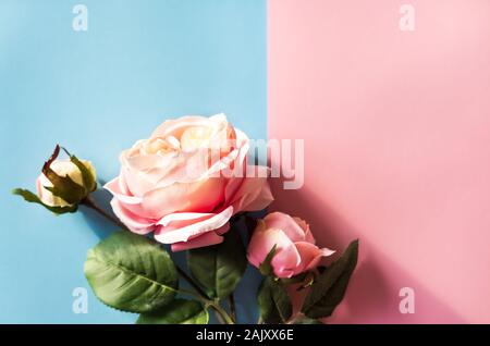 Artificiali rose rosa sfondo. Foto Stock