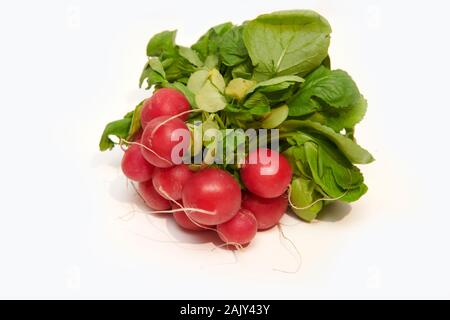 Un nuovo mazzo di unione Ravanelli (Raphanus sativus) su una cucina bianca top Foto Stock
