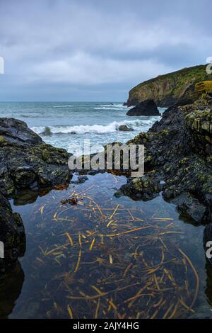 Aberfelin bay, LLanrhian, Pembrokeshire. Galles Foto Stock