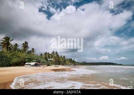 Tradizionali barche da pesca sulla spiaggia di sabbia a giornata soleggiata, Sri Lanka Foto Stock