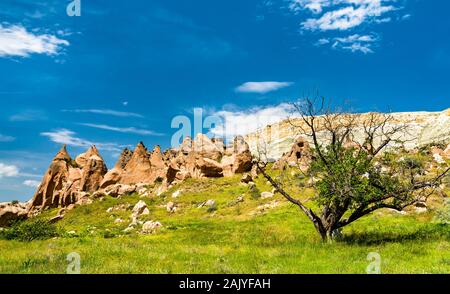 Resti di Zelve monastero in Cappadocia, Turchia Foto Stock