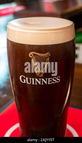 Una pinta di Guinness stout in un alto e sottile tulipano di vetro Foto Stock