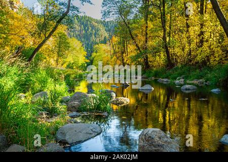 Inizio di caduta di colori su Oak Creek fuori a Sedona in Arizona, con acqua che scorre sopra e intorno alle rocce. Foto Stock