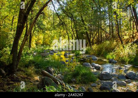 Inizio di caduta di colori su Oak Creek fuori a Sedona in Arizona, con acqua che scorre sopra e intorno alle rocce. Foto Stock